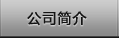 公司簡介