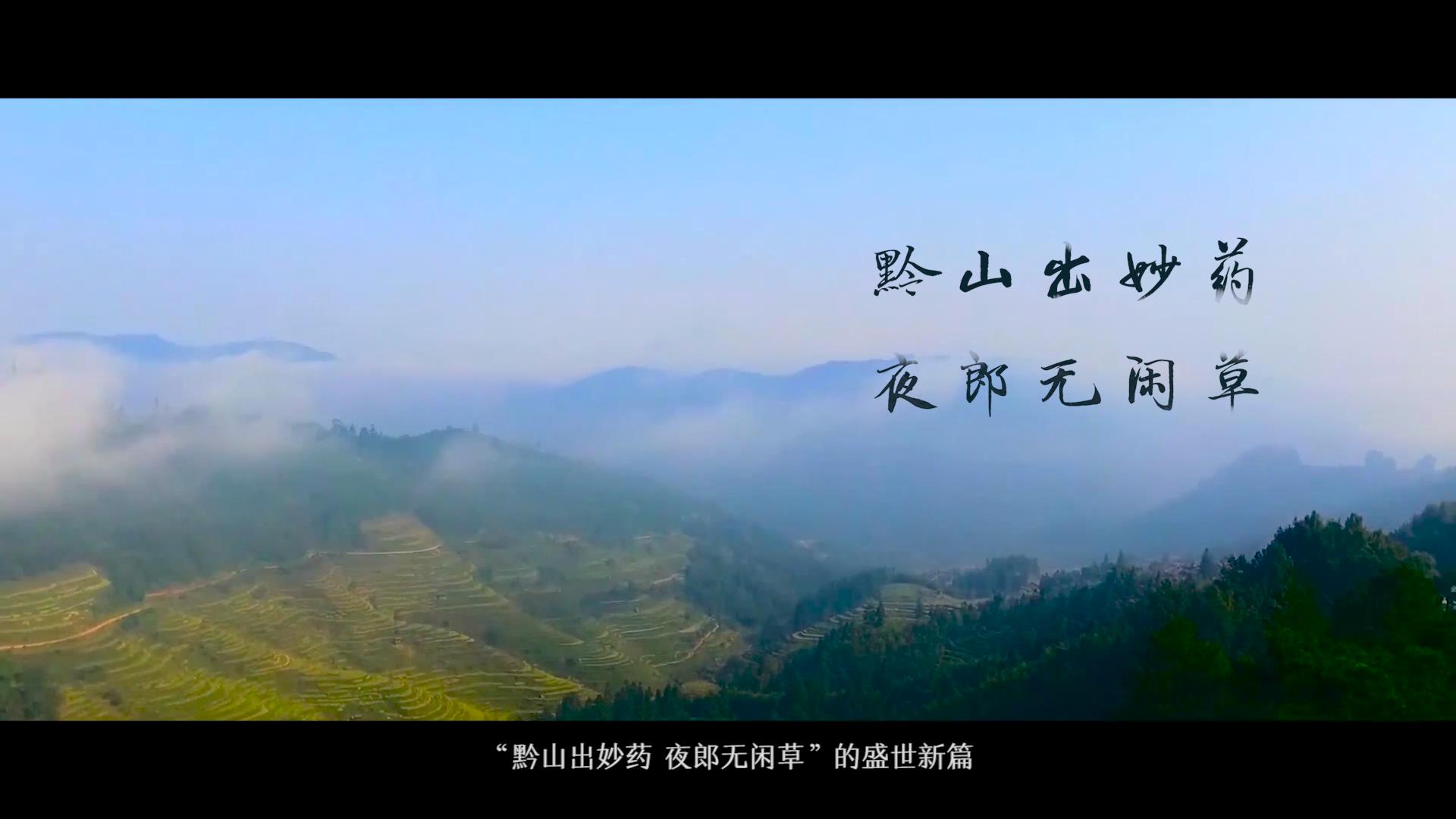 朗致集團 貴州太和制藥公司宣傳片