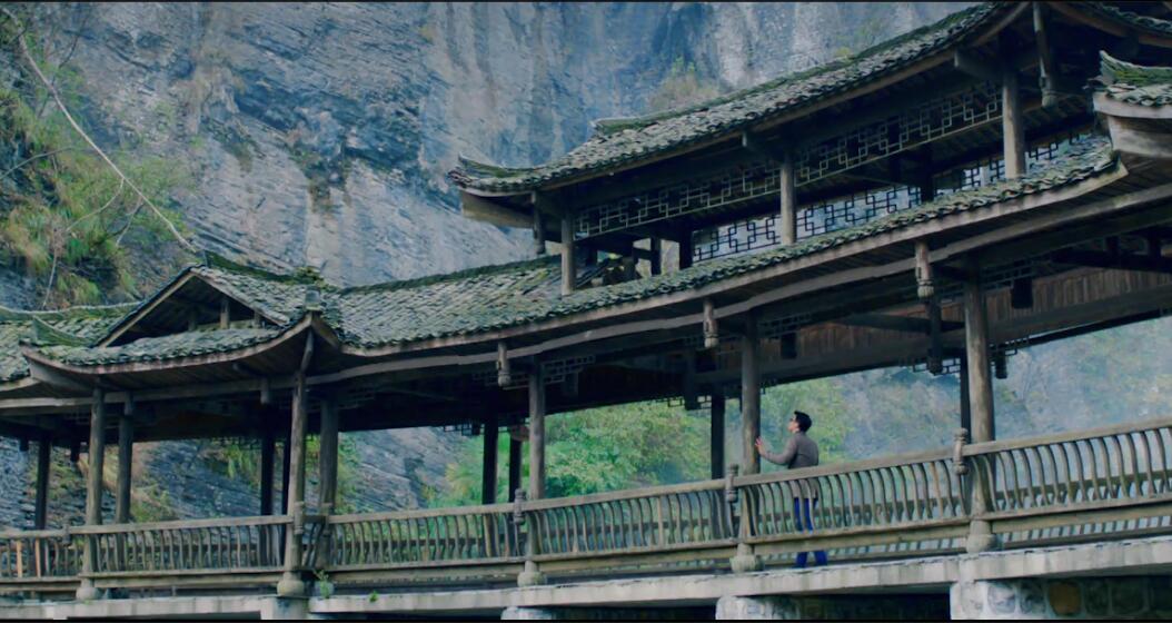 湖南長(zhǎng)沙大圍山仙草